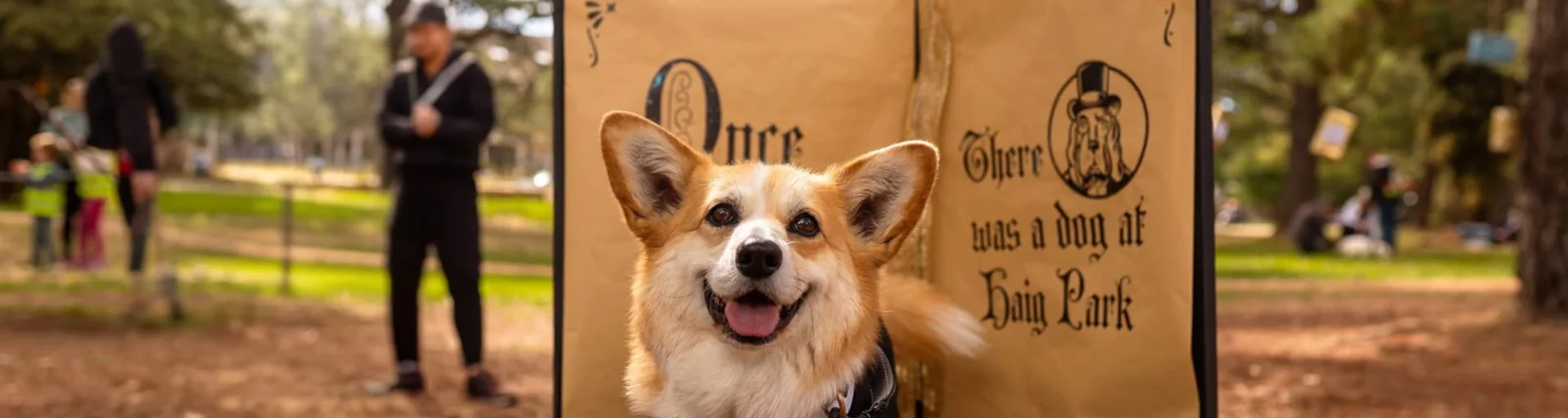 Once Upon a Paws: Book Week Paws Party