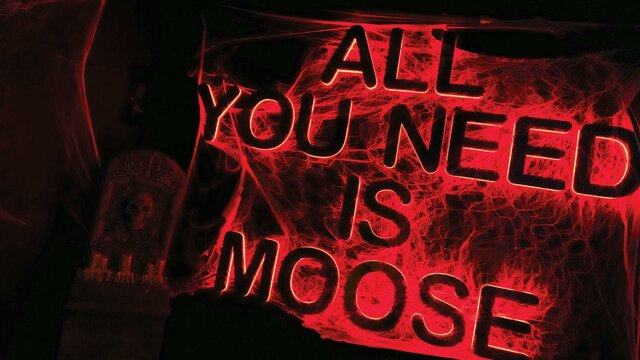 Mooseheads Canberra Mooseheads Canberra