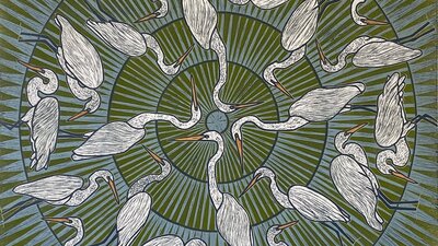 A print of illustrations of multiple herons against a background of concentric cirlces.