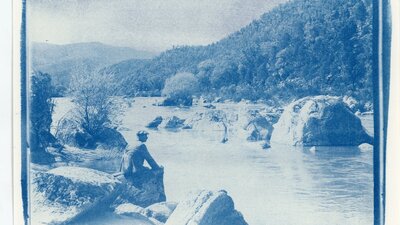 Photography without a camera: Cyanotype printing workshop. National Library of Australia. A cyanotyping print artwork in blue and white.