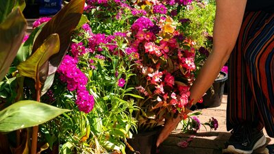 A photo of a person picking up some flower pots