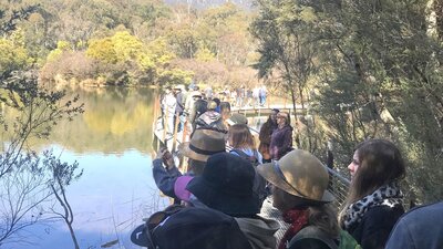 Guided Platypus Walk A group of people on a guided platypus walk