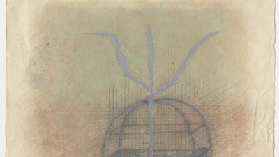 Image: Anne Pyne Irving, Teathered Spring, 2024. Image courtesy the artist.