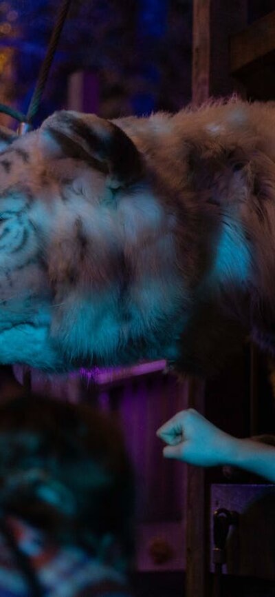A crowd of young people interact with a siberian tiger puppet.