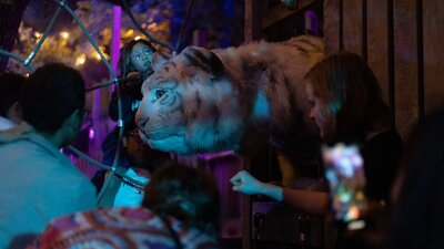 A crowd of young people interact with a siberian tiger puppet.
