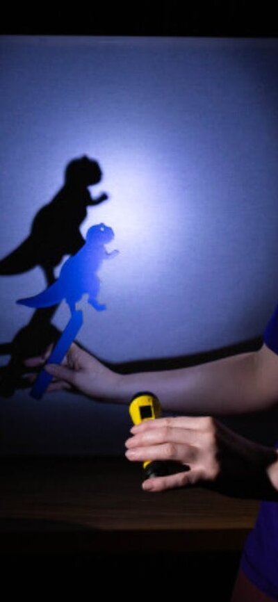 A woman making a dinosaur shadow in Science Time