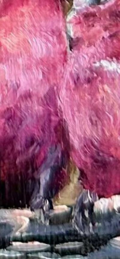Two Galahs painting by Penny Deacon