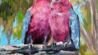 Two Galahs painting by Penny Deacon