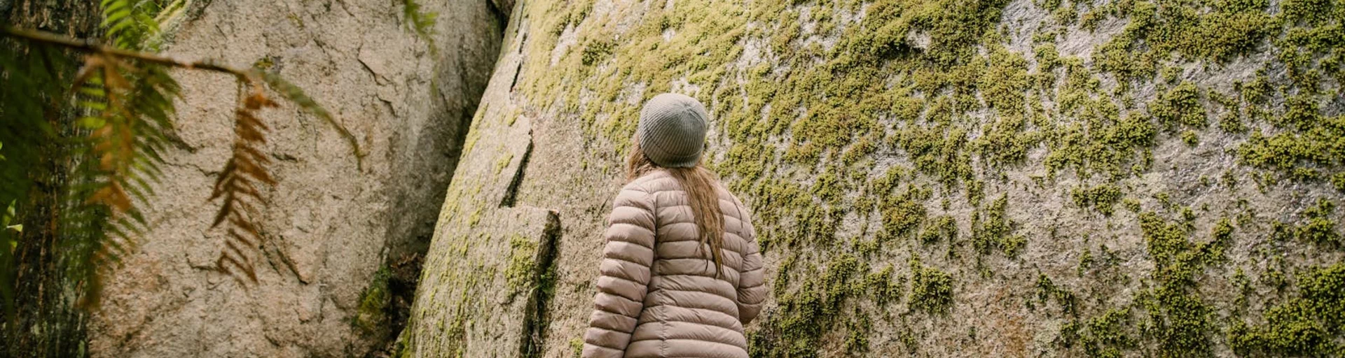 Recharge in nature