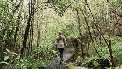 Woman walking along forest pathway surrounded by green ferns and tree canopy
