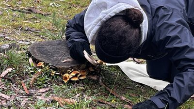 Woman exploring tiny details in nature with magnifying glass