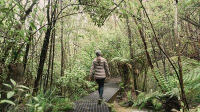 Woman walking along forest pathway surrounded by green ferns and tree canopy