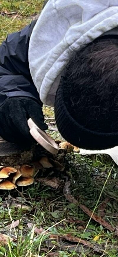Woman exploring tiny details in nature with magnifying glass