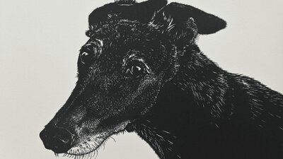 Diana (detail) by Lisa Jose Print of a dog called Diana (detail) by Lisa Jose