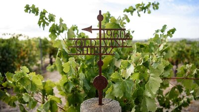 A winery, shows a vine and a sign pointing which way to go