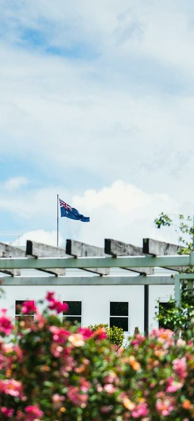 Pink roses in a garden with the Australian flag flying in the background