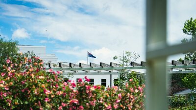 Pink roses  in a garden with the Australian flag flying in the background