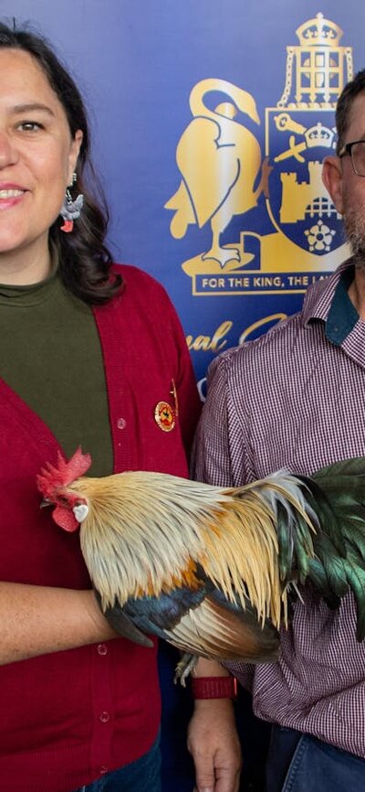 Royal Canberra Poultry Show Winners of the Royal Canberra Poultry Show