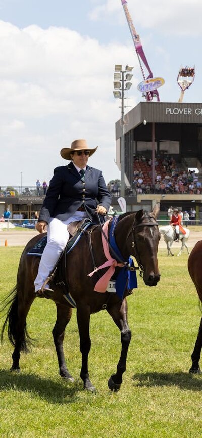 three award-winning horses at the Royal Canberra Show