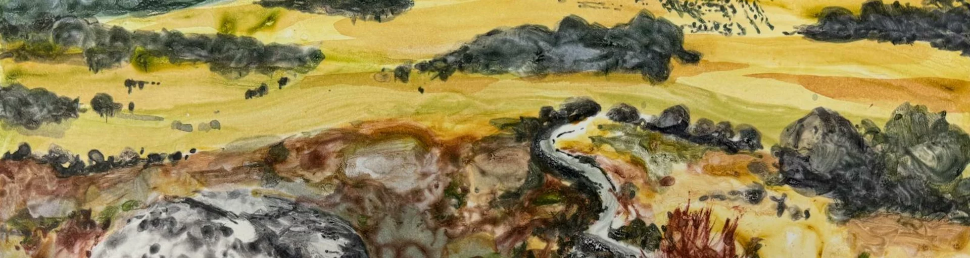 Sally Black | Trails