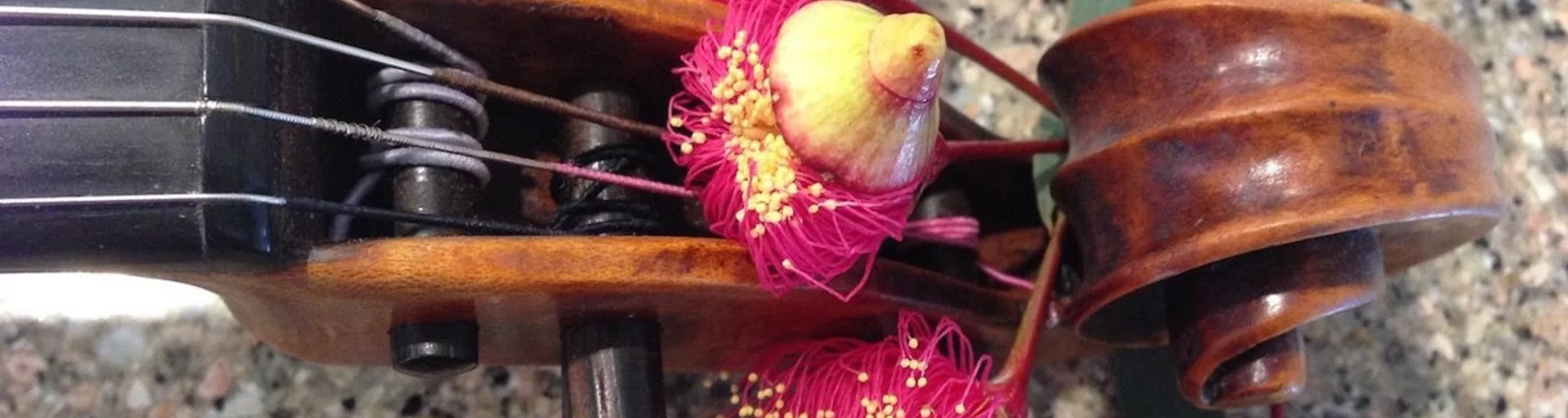 Saturday Salon with Robert Harris and Robert Manley: A Viola in Bloom