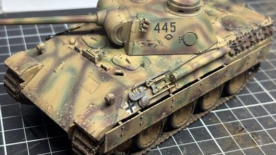 Tiger by member