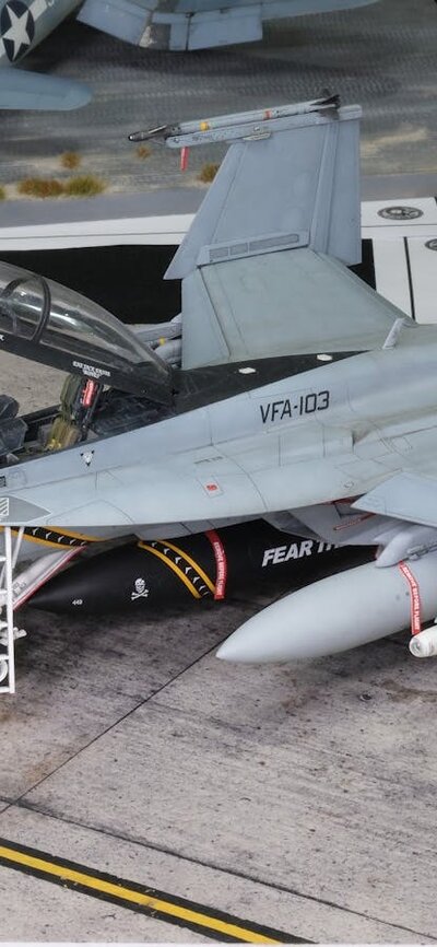 Tomcat