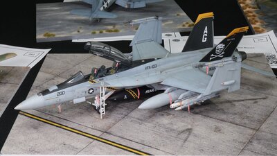 Tomcat