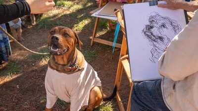Paws Party Canberra