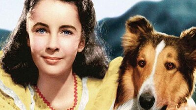 Young girl with Lassie dog looking at camera