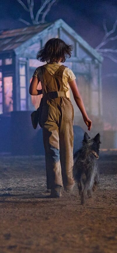 Runt Back of young person walking with dog towards a shed at night