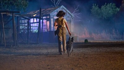 Back of young person walking with dog towards a shed at night