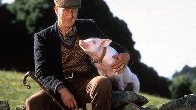 Still from Babe showing a man holding a pig