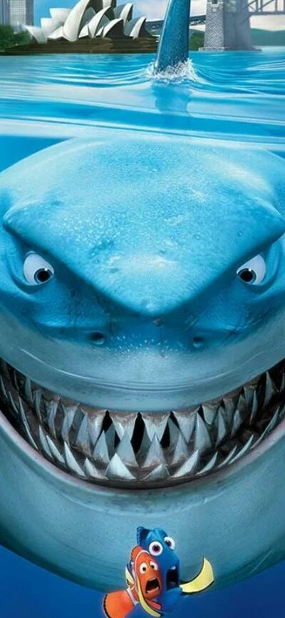 Large shark grinning while baring teeth and hunting small fish