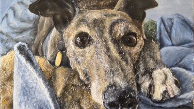An artwork showing a brown dog, maybe a greyhound, cuddled up in a blue blanket.