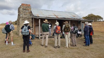 Brayshaws Hut Settlers Track guided walk