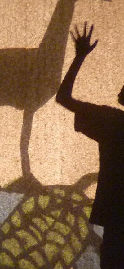 Playing with Light Shadow Puppetry workshops Boy and shadow puppets