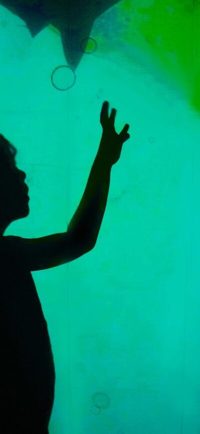 Playing with Light Shadow Puppetry Workshops Underwater world shadow puppets
