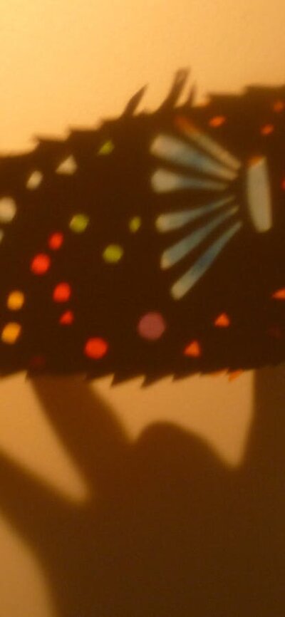 Playing with Light Shadow Puppetry Workshops Pufferfish shadow puppet