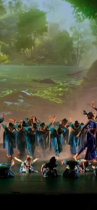 Peacock dance