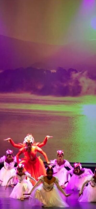 Swan dance