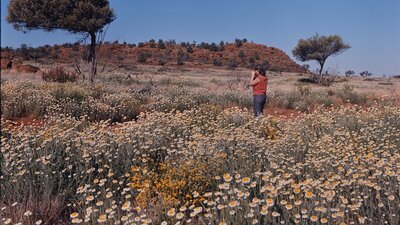 Coloured photograph of person photographing wildflowers