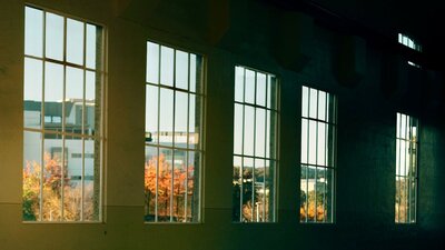 Windows