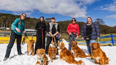 A group of people and dogs standing in snow, looking at the camera and smiling