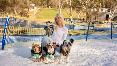 Woman holding a small dog sitting in snow, with 3 more dogs in front of her