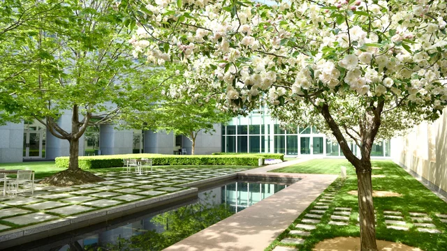Spring Courtyards of Parliament House Accessible Tour