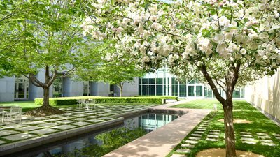 Blossoming trees surround a landscaped courtyard with a reflective water feature at Parliament House