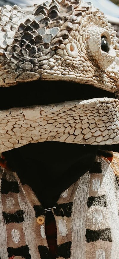 An image of a person dressed up as a Lizard at the Haig Park Village Markets