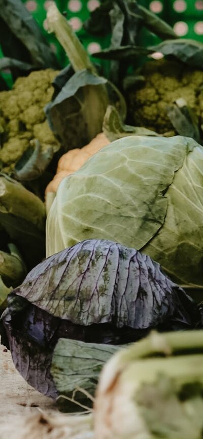 Produce at Haig Park Village Markets