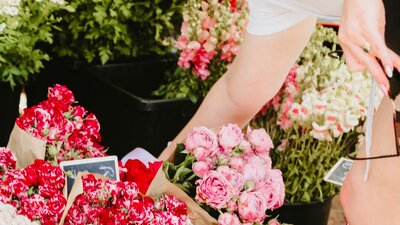 A person reaches down to grab a bunch of pink flowers